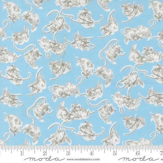 Image of A Cat Named Stitch Kitten Sky quilting cotton fabric by Camille Roskelley for Riley Blake Designs. Features cats on a blue background. Cute Little Fabric Shop.