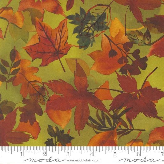 Image of Northern Brights Fallen Leaves Leaf quilting cotton fabric by Amarilys Henderson for Moda Fabrics. Features leaves on a green background. Cute Little Fabric Shop.