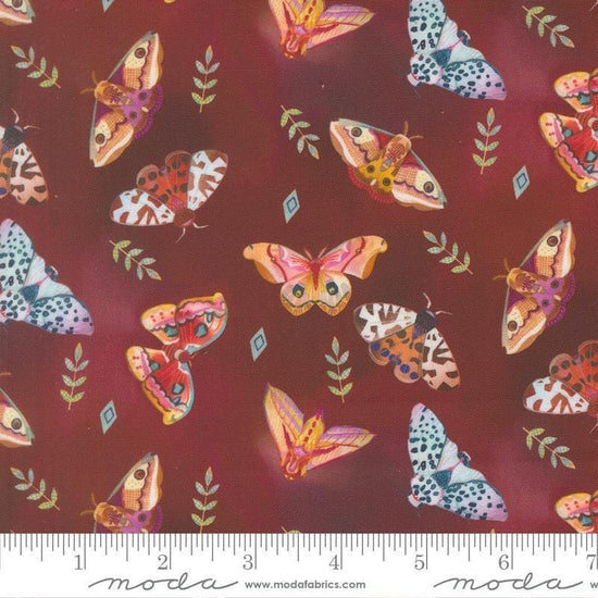 Image of Northern Brights Moths Woodsy quilting cotton fabric by Amarilys Henderson for Moda Fabrics. Features moths on a brown background. Cute Little Fabric Shop.