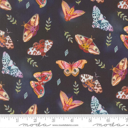 Image of Northern Brights Moths Night Sky quilting cotton fabric by Amarilys Henderson for Moda Fabrics. Features moths on a black background. Cute Little Fabric Shop.