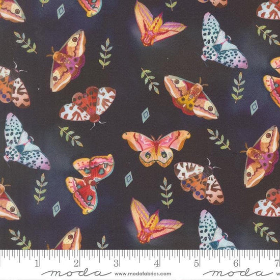 Image of Northern Brights Moths Night Sky quilting cotton fabric by Amarilys Henderson for Moda Fabrics. Features moths on a black background. Cute Little Fabric Shop.