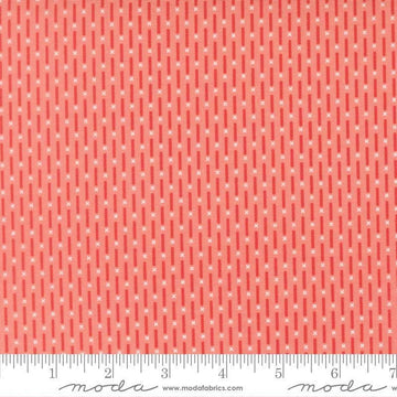 Image of Poinsettia and Pear Candy Stripe Carnation quilting cotton fabric by Sherri & Chelsi for Moda Fabrics. Features stripes on a pink background. Cute Little Fabric Shop.