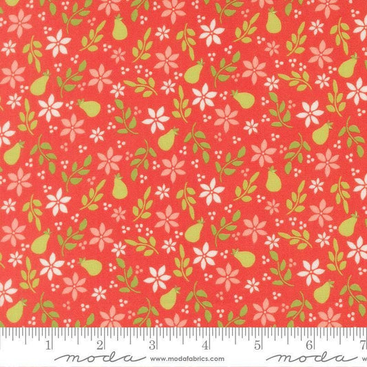 Image of Poinsettia and Pear Pear Florals Geranium quilting cotton fabric by Sherri & Chelsi for Moda Fabrics. Features flowers on a pink background. Cute Little Fabric Shop.
