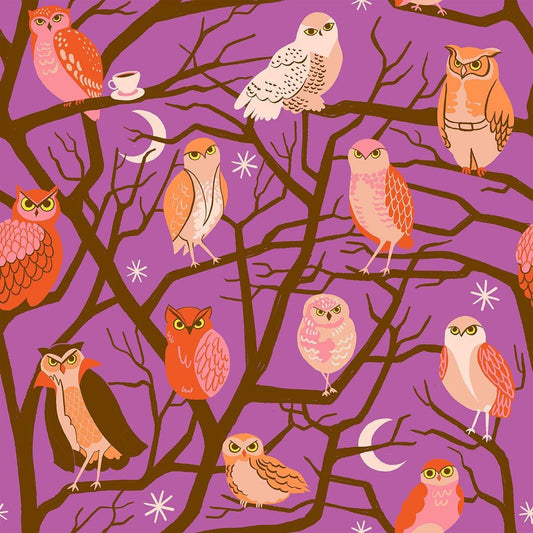 Image of Freaky Familiars Who Cooks For You Witchy quilting cotton fabric by Ruby Star Society for Moda Fabrics. Features owls on a purple background. Cute Little Fabric Shop.