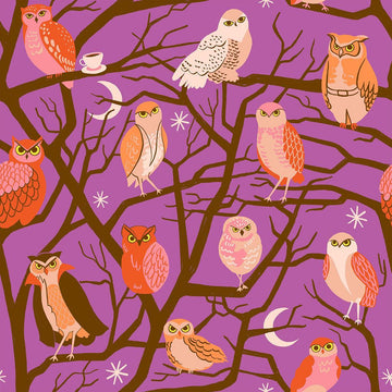 Image of Freaky Familiars Who Cooks For You Witchy quilting cotton fabric by Ruby Star Society for Moda Fabrics. Features owls on a purple background. Cute Little Fabric Shop.
