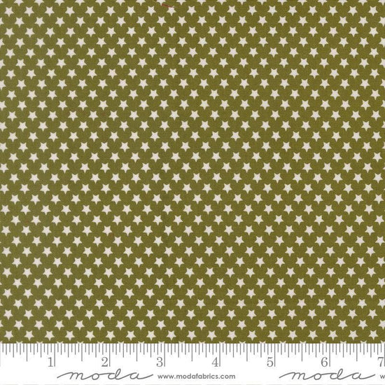 Image of Chilly Star Bright Pine quilting cotton fabric by Sweetwater for Moda Fabrics. Features stars on a green background. Cute Little Fabric Shop.