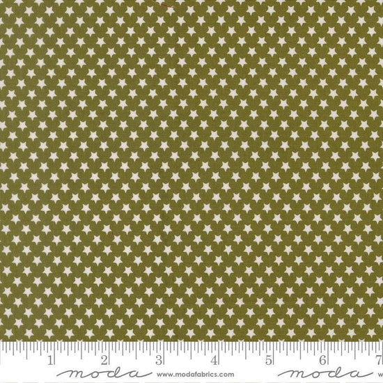 Image of Chilly Star Bright Pine quilting cotton fabric by Sweetwater for Moda Fabrics. Features stars on a green background. Cute Little Fabric Shop.