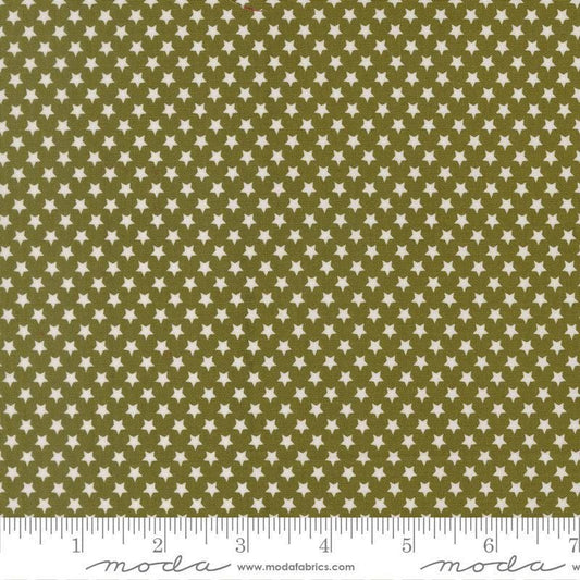 Image of Chilly Star Bright Pine quilting cotton fabric by Sweetwater for Moda Fabrics. Features stars on a green background. Cute Little Fabric Shop.
