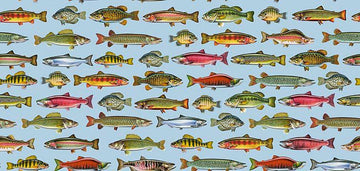 Image of The Lure of Fishing Fish Set Blue quilting cotton fabric by JQ Licensing for QT Fabrics. Features fish on a blue background. Cute Little Fabric Shop.