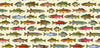 Image of The Lure of Fishing Fish Set Buttercream quilting cotton fabric by JQ Licensing for QT Fabrics. Features fish on a cream background. Cute Little Fabric Shop.