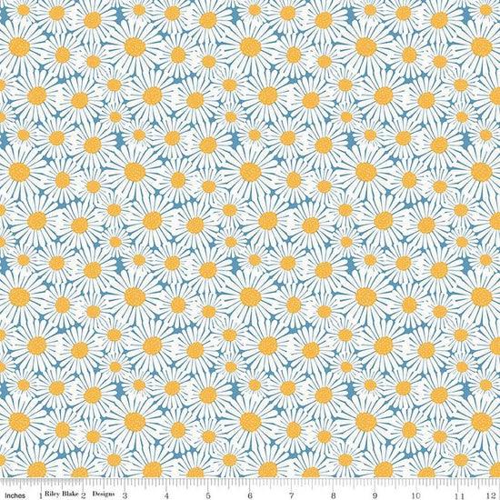 Image of Sunshine & Dandelions Daisies Blue quilting cotton fabric by Traci Reed for Riley Blake Designs. Features flowers on a blue background. Cute Little Fabric Shop.