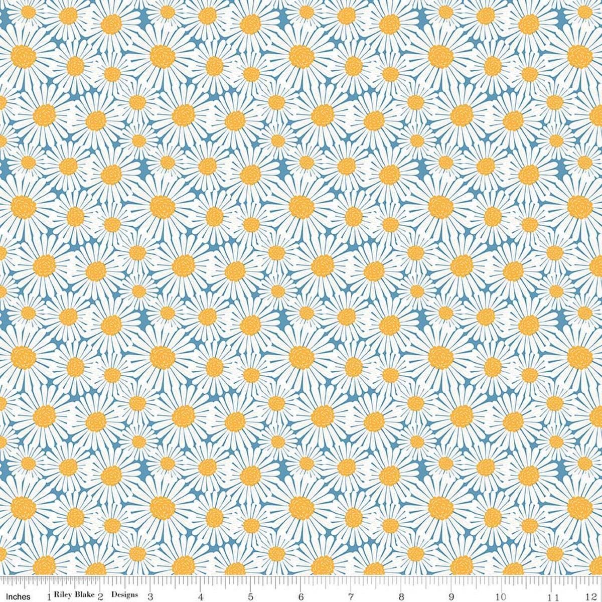 Image of Sunshine & Dandelions Daisies Blue quilting cotton fabric by Traci Reed for Riley Blake Designs. Features flowers on a blue background. Cute Little Fabric Shop.