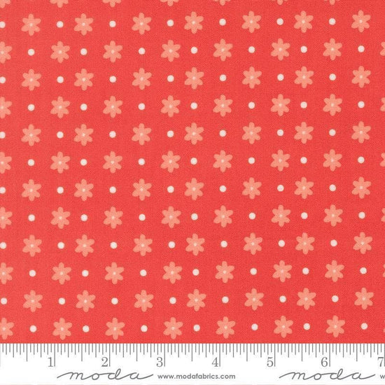 Image of Poinsettia and Pear Daisy Dot Geranium quilting cotton fabric by Sherri & Chelsi for Moda Fabrics. Features flowers on a pink background. Cute Little Fabric Shop.