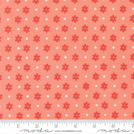 Image of Poinsettia and Pear Daisy Dot Carnation quilting cotton fabric by Sherri & Chelsi for Moda Fabrics. Features flowers on a pink background. Cute Little Fabric Shop.