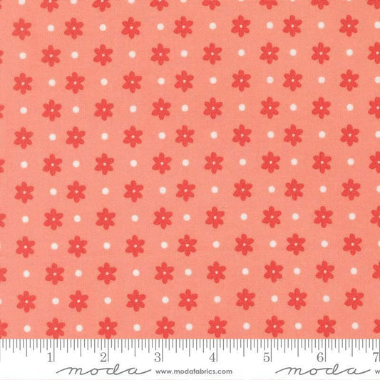 Image of Poinsettia and Pear Daisy Dot Carnation quilting cotton fabric by Sherri & Chelsi for Moda Fabrics. Features flowers on a pink background. Cute Little Fabric Shop.