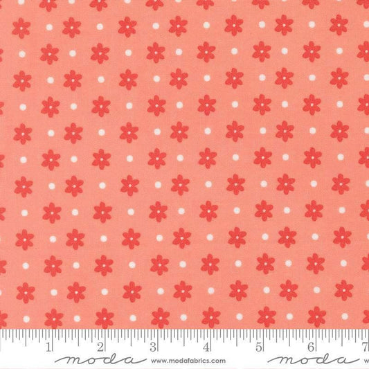 Image of Poinsettia and Pear Daisy Dot Carnation quilting cotton fabric by Sherri & Chelsi for Moda Fabrics. Features flowers on a pink background. Cute Little Fabric Shop.