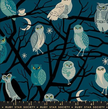 Image of Freaky Familiars Who Cooks For You Galaxy quilting cotton fabric by Ruby Star Society for Moda Fabrics. Features owls on a blue background. Cute Little Fabric Shop.