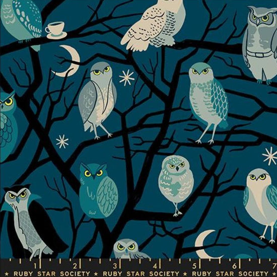 Image of Freaky Familiars Who Cooks For You Galaxy quilting cotton fabric by Ruby Star Society for Moda Fabrics. Features owls on a blue background. Cute Little Fabric Shop.