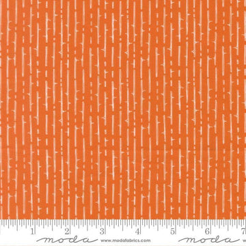 Image of Coven Thorny Stripes Pumpkin Spice quilting cotton fabric by Robin Pickens for Moda Fabrics. Features stripes on an orange background. Cute Little Fabric Shop.