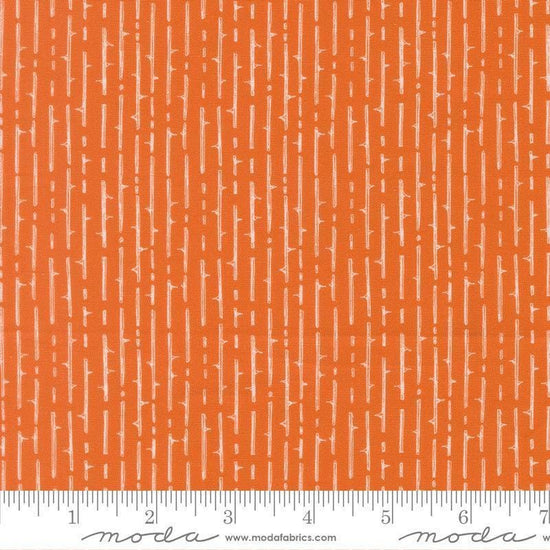 Image of Coven Thorny Stripes Pumpkin Spice quilting cotton fabric by Robin Pickens for Moda Fabrics. Features stripes on an orange background. Cute Little Fabric Shop.
