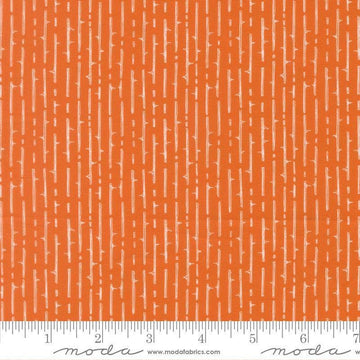 Image of Coven Thorny Stripes Pumpkin Spice quilting cotton fabric by Robin Pickens for Moda Fabrics. Features stripes on an orange background. Cute Little Fabric Shop.