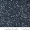 Image of Coven Dotty Thatched Soft Black quilting cotton fabric by Robin Pickens for Moda Fabrics. Features dots on a black background. Cute Little Fabric Shop.