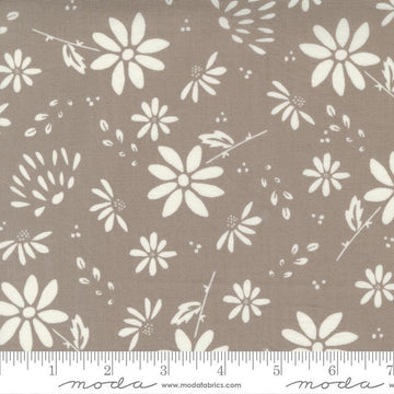 17" End of Bolt - Seashore Drive Daisy 37620 Pebble - Moda Fabrics - Floral Flowers Tan - Quilting Cotton Fabric