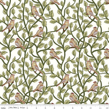 Image of Tangled Gardens Birds Cream quilting cotton fabric by Diane Labombarbe for Riley Blake Designs. Features birds and leaves on a white background. Cute Little Fabric Shop.