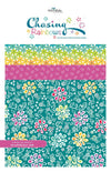 Chasing Rainbows 5" Stacker Floral Fabric - 5-18010-42 - 42-Piece Precut - Riley Blake Quilting Cotton Fabric