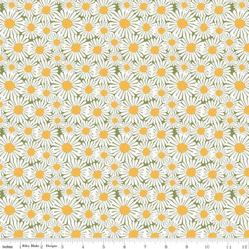 Image of Sunshine & Dandelions Daisies Green quilting cotton fabric by Traci Reed for Riley Blake Designs. Features flowers on a green background. Cute Little Fabric Shop.