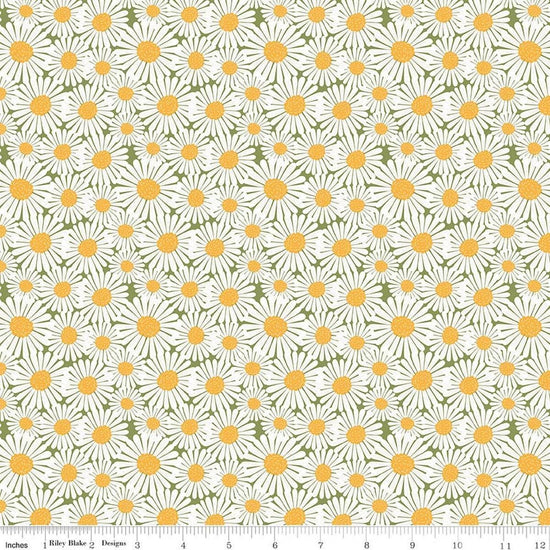 Image of Sunshine & Dandelions Daisies Green quilting cotton fabric by Traci Reed for Riley Blake Designs. Features flowers on a green background. Cute Little Fabric Shop.