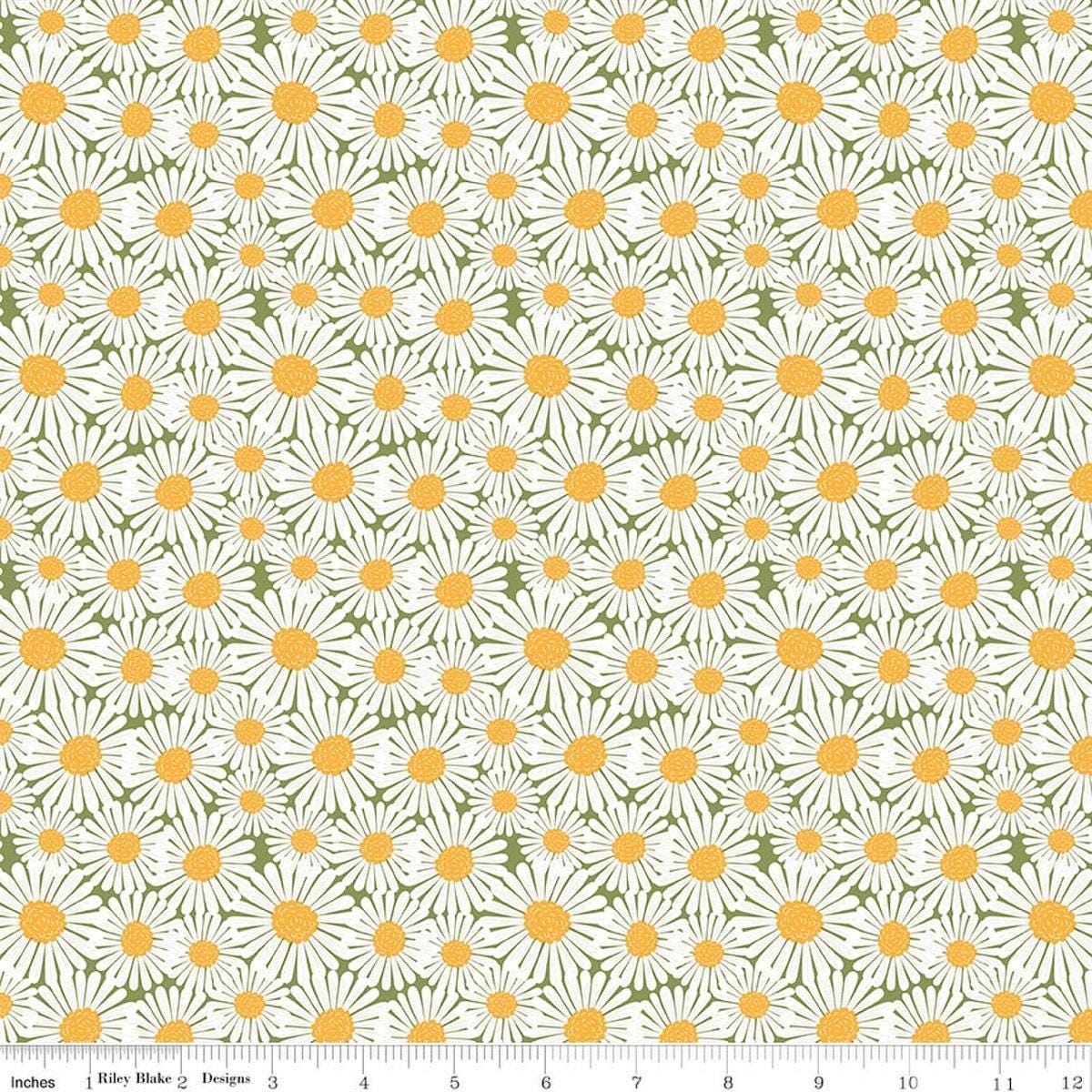 Image of Sunshine & Dandelions Daisies Green quilting cotton fabric by Traci Reed for Riley Blake Designs. Features flowers on a green background. Cute Little Fabric Shop.