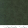Image of When Snow Falls Shaded Solid Holly quilting cotton fabric by Deb Strain for Moda Fabrics. Features solid on a green background. Cute Little Fabric Shop.