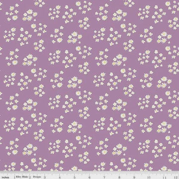Fat Quarter End of Bolt - Hello Spring Daisies C12962 Lavender - Riley Blake Designs - Floral Flowers Cream Daisy - Quilting Cotton Fabric