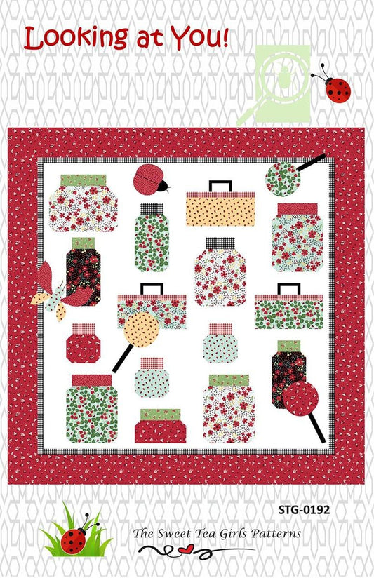 SALE Looking at You! Quilt PATTERN Confident Beginner Friendly Pattern - Riley Blake INSTRUCTIONS Only