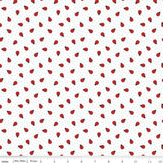 Image of Little Ladybug Ladybugs White quilting cotton fabric by Lori Whitlock for Riley Black Designs. Features ladybugs on a White background. Cute Little Fabric Shop.