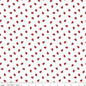 Image of Little Ladybug Ladybugs White quilting cotton fabric by Lori Whitlock for Riley Black Designs. Features ladybugs on a White background. Cute Little Fabric Shop.