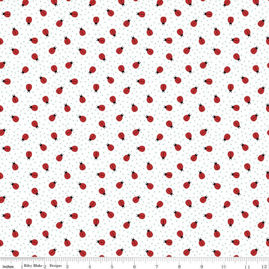 Image of Little Ladybug Ladybugs White quilting cotton fabric by Lori Whitlock for Riley Black Designs. Features ladybugs on a White background. Cute Little Fabric Shop.