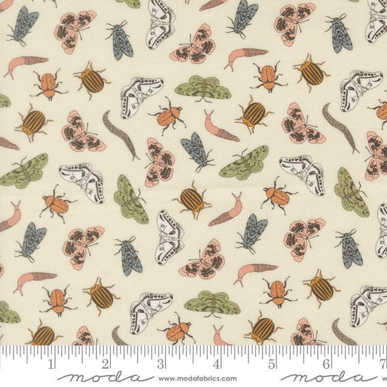 Image of Petalush Entomology Lush quilting cotton fabric by Kiley's Quilt Room for Moda Fabrics. Features bugs on a cream background. Cute Little Fabric Shop.