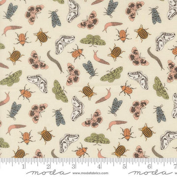 Image of Petalush Entomology Lush quilting cotton fabric by Kiley's Quilt Room for Moda Fabrics. Features bugs on a cream background. Cute Little Fabric Shop.