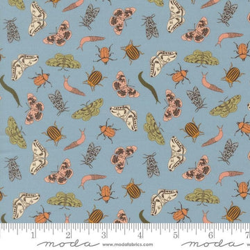 Image of Petalush Entomology Wind quilting cotton fabric by Kiley's Quilt Room for Moda Fabrics. Features bugs on a blue background. Cute Little Fabric Shop.