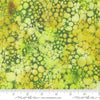 Image of Gradients Gallery Micro Pigments Lime quilting cotton fabric by Moda for Moda Fabrics. Features an abstract design on a green background. Cute Little Fabric Shop.