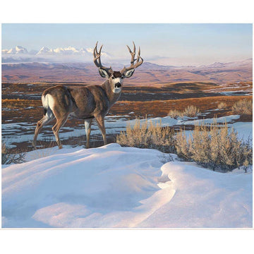 SALE Majestic in Nature II Drifting Panel DIGITALLY Printed Fabric - PD17961 - Riley Blake Quilting Cotton Fabric Licensed Product