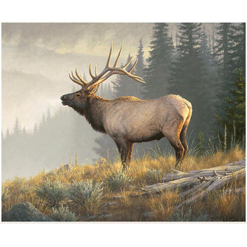 SALE Majestic in Nature II Monarch of the Mountain Panel Nature Fabric - PD17962 - Riley Blake Quilting Cotton Fabric Licensed Product