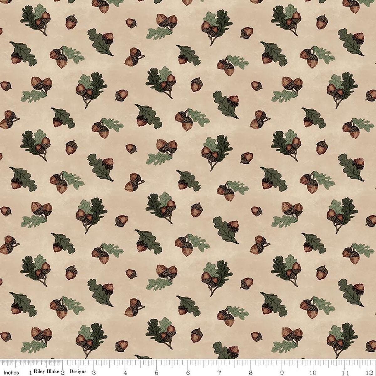 Image of Whispering Pines Acorns Tan quilting cotton fabric by The RBD Designers for Riley Blake Designs. Features acorns and leaves on a cream background. Cute Little Fabric Shop.