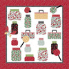 SALE Looking at You! Quilt PATTERN Confident Beginner Friendly Pattern - Riley Blake INSTRUCTIONS Only
