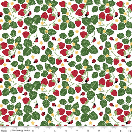Image of Little Ladybug Strawberries White quilting cotton fabric by Lori Whitlock for Riley Black Designs. Features strawberries and leaves on a white background. Cute Little Fabric Shop.