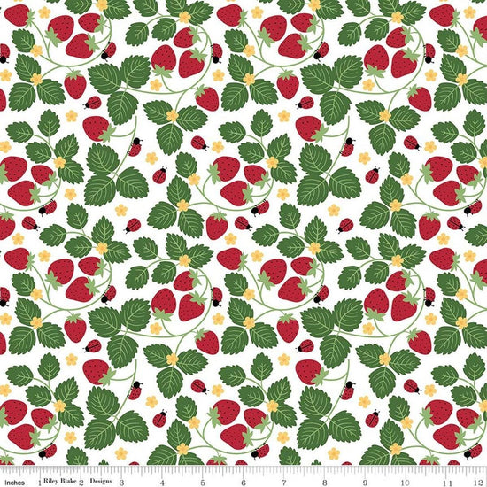 Image of Little Ladybug Strawberries White quilting cotton fabric by Lori Whitlock for Riley Black Designs. Features strawberries and leaves on a white background. Cute Little Fabric Shop.