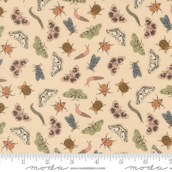 Image of Petalush Entomology Ballerina quilting cotton fabric by Kiley's Quilt Room for Moda Fabrics. Features bugs on a cream background. Cute Little Fabric Shop.