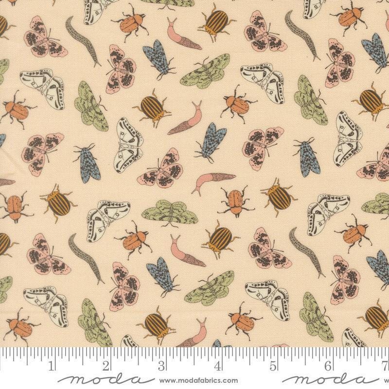 Image of Petalush Entomology Ballerina quilting cotton fabric by Kiley's Quilt Room for Moda Fabrics. Features bugs on a cream background. Cute Little Fabric Shop.